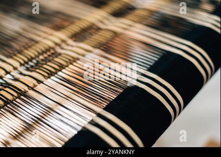 Navetta per la tessitura in ordito Foto Stock