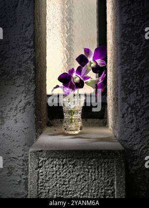 Vaso in vetro trasparente con orchidea, sul davanzale in cemento la sera Foto Stock