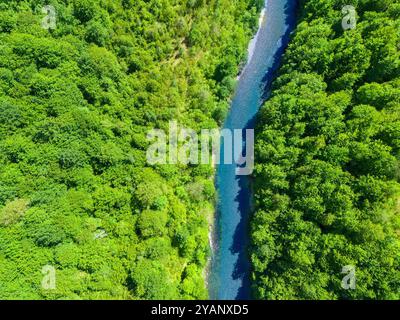 Il fiume azzurro scorre attraverso una fitta foresta verde. Vista aerea. Foto Stock