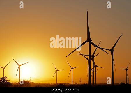 Tramonto, centrali eoliche, Leck, Frisia settentrionale, Schleswig-Holstein, Germania Foto Stock