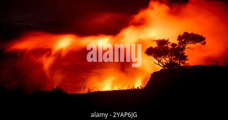 La flora autoctona si staglia contro il vapore incandescente del lago lavico nel cratere Halemaumau del vulcano Kilauea nel Parco Nazionale dei Vulcani nelle Hawaii Foto Stock