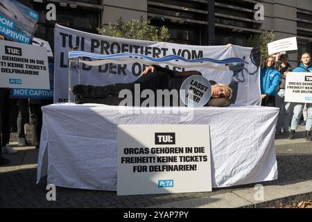 Sängerin Sarah Connor, Sarah Connor legt sich in ein Mini-Aquarium und protestiert mit Peta-Aktivisten vor Tui-Reisebüro für die Freilassung von Orca-Walen, 15.10.2024, Tui Reisebüro, Berlin, Deutschland *** Singer Sarah Connor, Sarah Connor giace in un mini acquario e protesta con attivisti Peta di fronte all'agenzia di viaggi Tui per il rilascio di orche parla delle balene, Tui, agenzia di viaggi Tui-10 2024, Tui, Tui-connor, agenzia di viaggi, Tui-3 Foto Stock