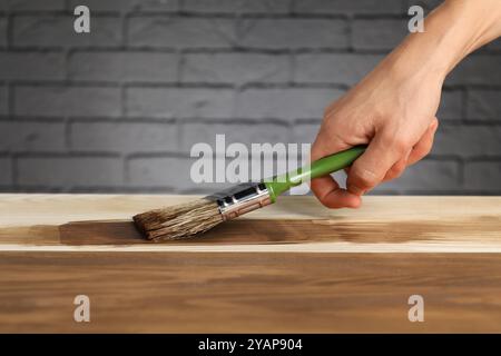 Donna con spazzola che applica macchia di legno di noce su una superficie di legno, primo piano Foto Stock