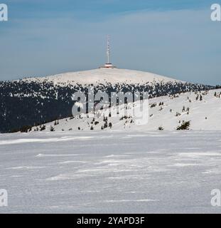 Preda dalla collina di Jeleni hrbet sopra Jeleni studanka in inverno sulle montagne di Jeseniky nella repubblica Ceca Foto Stock