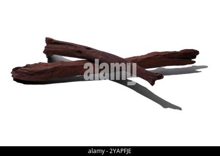 Drift Wood su sfondo bianco Foto Stock
