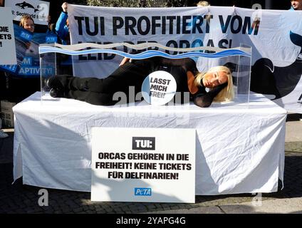 Sarah Connor legt sich in ein Mini-Aquarium und protestiert mit Peta-Aktivisten vor dem Tui-Reisebüro für die Freilassung von Orca-Walen. *** Sarah Connor giace in un mini acquario e protesta con attivisti Peta di fronte all'agenzia di viaggi Tui per il rilascio delle orche Foto Stock