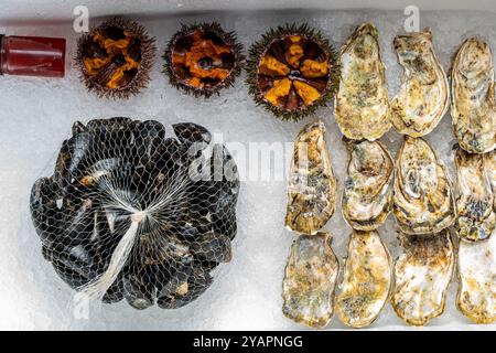 Pesce fresco assortito. Ostriche chiuse, cozze in conchiglie e ricci di mare aperto su ghiaccio. Foto di alta qualità Foto Stock