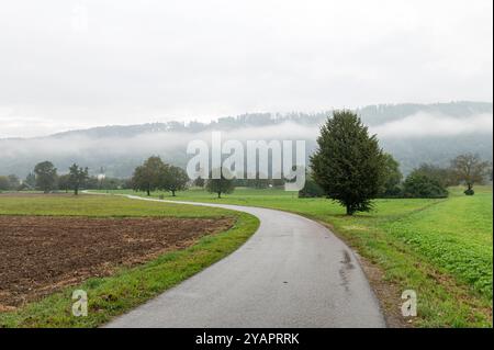 Rheinfelden Baden Württemberg Germania 23 settembre 2024 in un giorno umido nebbia si avvolge sulle colline a nord della città. autunno, pioggia, bagnato, Foto Stock