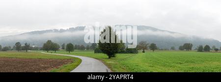 Rheinfelden Baden Württemberg Germania 23 settembre 2024 in un giorno umido nebbia si avvolge sulle colline a nord della città. Panorama cucito autunno, pioggia, bagnato, Foto Stock