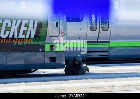 Großübung Terroranschlag: Hannover probt den Ernstfall einer Geiselnahme in einem Bus auf dem Üstra-Betriebshof Glocksee. Hnnover, 21.09.2024 *** grande esercitazione attacco terroristico Hannover prova l'emergenza di una situazione di ostaggio in un autobus presso il deposito di Üstra Glocksee Hnnover, 21 09 2024 foto:Xn.xHeuselx/xFuturexImagex terroruebung 4021 Foto Stock