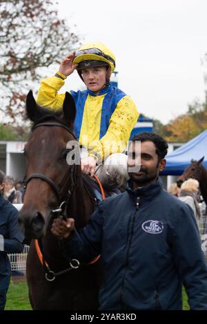 Windsor, Regno Unito. 14 ottobre 2024. BALMORAL LADY guidata dal fantino Hollie Doyle vince l'Ivor Laws Memorial handicap Stakes (Classe 4) alla finale di stagione piatta al Royal Windsor Racecourse di Windsor, Berkshire. Proprietario Laurence Bellman, allenatore ed Walker, Upper Lambourn, allevatore Yeomanstown Stud, Sponsor ABM Catering Facilities Management. Crediti: Maureen McLean/Alamy Live News Foto Stock