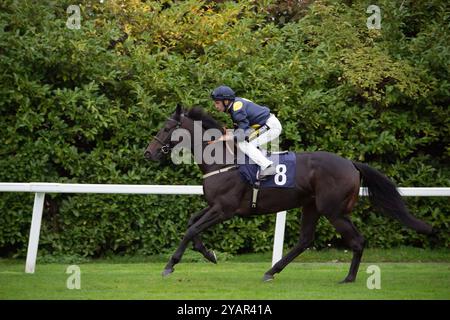 Windsor, Regno Unito. 14 ottobre 2024. L'AMAZZONIA cavalcata dal fantino Neil Callan si dirige in pista prima di vincere le gare di handicap per l'app Download at the Races (Classe 5) al finale della stagione pianeggiante presso l'ippodromo Royal Windsor di Windsor, Berkshire. Proprietario Sheikh Juma Dalmook al Maktoum, allenatore James Take, Newmarket, breeder Framont Ltd Crediti: Maureen McLean/Alamy Live News Foto Stock