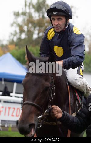 Windsor, Regno Unito. 14 ottobre 2024. L'AMAZZONIA guidata dal fantino Neil Callan vince le gare di handicap per l'app Download at the Races (classe 5) alla finale di stagione piatta presso l'ippodromo Royal Windsor di Windsor, Berkshire. Proprietario Sheikh Juma Dalmook al Maktoum, allenatore James Take, Newmarket, breeder Framont Ltd Crediti: Maureen McLean/Alamy Live News Foto Stock