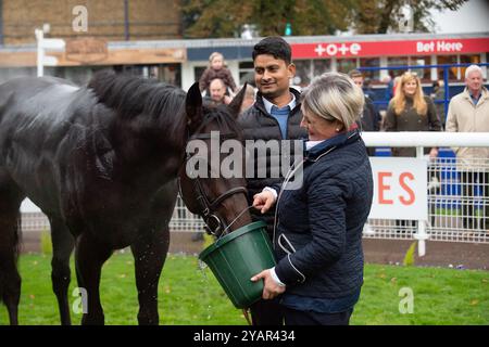 Windsor, Regno Unito. 14 ottobre 2024. L'AMAZZONIA guidata dal fantino Neil Callan vince le gare di handicap per l'app Download at the Races (classe 5) alla finale di stagione piatta presso l'ippodromo Royal Windsor di Windsor, Berkshire. Proprietario Sheikh Juma Dalmook al Maktoum, allenatore James Take, Newmarket, breeder Framont Ltd Crediti: Maureen McLean/Alamy Live News Foto Stock