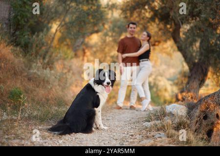 Un Border Collie si trova molto attento mentre i suoi proprietari si trovano nelle vicinanze su un sentiero naturalistico. Foto Stock