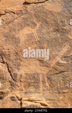 Arte rupestre Jabal Umm Sanman a Jubbah, Arabia Saudita, regione di Hail, patrimonio dell'umanità dell'UNESCO, Foto Stock