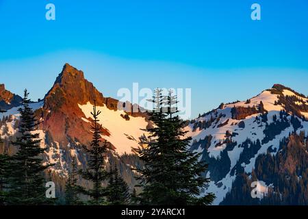 Area paradiso presso il Parco Nazionale del Monte Rainier, nello Stato di Washington, USA Foto Stock