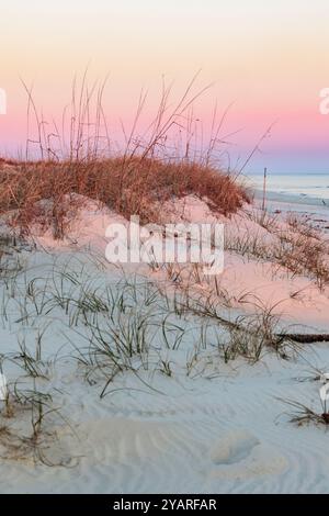 Il cielo notturno brilla sulle dune di sabbia di Fort Morgan Fishing Beach a Fort Morgan, Alabama, USA Foto Stock