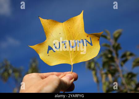 Mano che regge una foglia gialla con la parola scolpita AUTUNNO Foto Stock