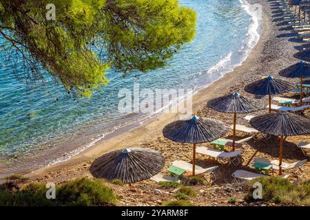 Splendida vista sulla spiaggia di sabbia con freschi aghi verdi di pini a Creta (o Spetses o Satorini o Mykonos o Corfù o Zakkinthos) - una fantastica ricostruzione Foto Stock