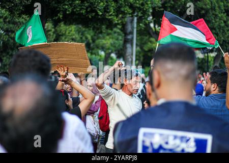 Tunisi, Tunisia. 15 ottobre 2024. A Tunisi centrale si svolge una manifestazione a sostegno del popolo palestinese e libanese, tra le continue offese militari israeliane a Gaza e in Libano e i continui attacchi in Cisgiordania. I partecipanti hanno sventolato le bandiere palestinesi, libanesi, Hezbollah, bruciando quella israeliana Foto Stock