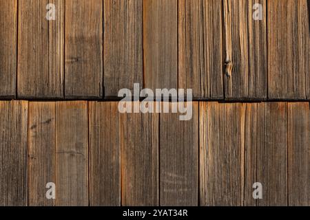 Dettaglio dello schodle, copertura in legno di edifici locali in ambiente alpino come sull'altopiano di Uskovnica o Zajamniki nelle alpi giulie slovene Foto Stock