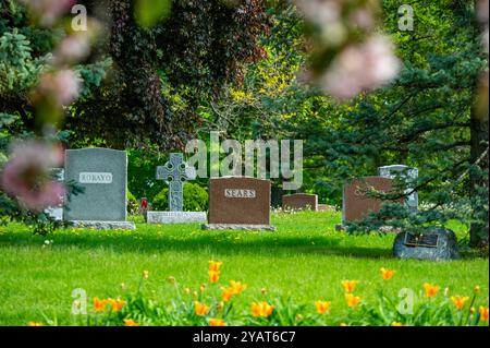 National Cemetery of Canada durante la stagione autunnale. Beechwood Cemetery, Ottawa, Ontario, Canada. Foto Stock