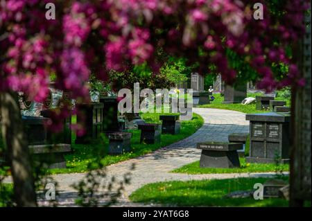 National Cemetery of Canada durante la stagione autunnale. Beechwood Cemetery, Ottawa, Ontario, Canada. Foto Stock