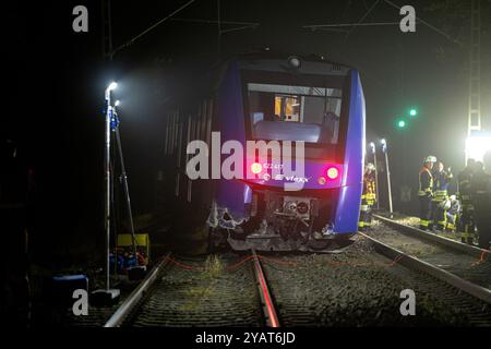 Namborn, Germania. 15 ottobre 2024. I vigili del fuoco lavorano su un treno regionale espresso vlexx. Il treno regionale si era scontrato con un grande masso sui binari e deragliò sul binario aperto. Credito: Laszlo Pinter/dpa/Alamy Live News Foto Stock