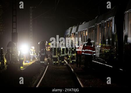 Namborn, Germania. 15 ottobre 2024. I vigili del fuoco lavorano su un treno regionale espresso vlexx. Il treno regionale si era scontrato con un grande masso sui binari e deragliò sul binario aperto. Credito: Laszlo Pinter/dpa/Alamy Live News Foto Stock