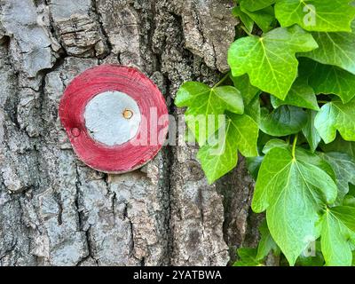 Il waymark sloveno Knafelc (punto bianco circondato da un cerchio rosso) su un albero Foto Stock