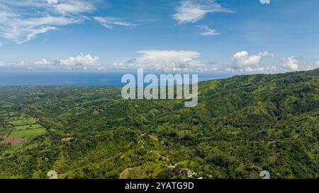 Vista aerea dell'area rurale con terreni agricoli e risaie ai tropici. Negros, Filippine Foto Stock