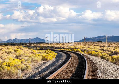 Binari ferroviari che attraversano il pennello giallo nel West americano Foto Stock