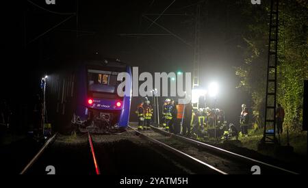 Namborn, Germania. 15 ottobre 2024. I vigili del fuoco lavorano su un treno regionale espresso vlexx. Il treno regionale si era scontrato con un grande masso sui binari e deragliò sul binario aperto. Credito: Laszlo Pinter/dpa/Alamy Live News Foto Stock