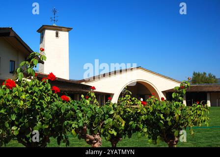 Un giardino di rose cresce presso l'azienda vinicola Robert Mondavi a Napa, California Foto Stock