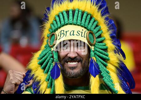 DF - BRASILIA - 10/15/2024 - QUALIFICAZIONI ALLA COPPA DEL MONDO 2026, BRASILE x PERÙ - tifosi durante la partita tra Brasile e Perù allo stadio Mane Garrincha per il campionato di qualificazione ai Mondiali 2026. Foto: Mateus Bonomi/AGIF (foto di Mateus Bonomi/AGIF/Sipa USA) Foto Stock