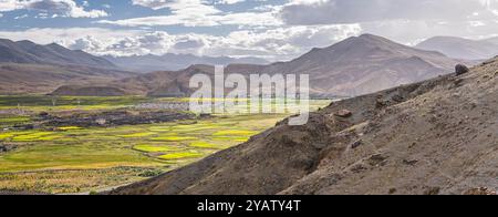 Vista su Sakya e la fioritura dei semi di colza nel Tibet centrale, cielo al tramonto con spazio copia Foto Stock