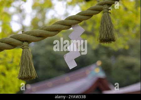 Il distretto interno dello storico santuario Meiji, Tokyo Shibuya JP Foto Stock