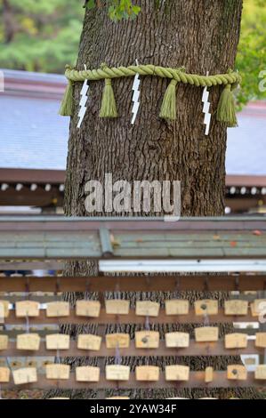 Il distretto interno dello storico santuario Meiji, Tokyo Shibuya JP Foto Stock