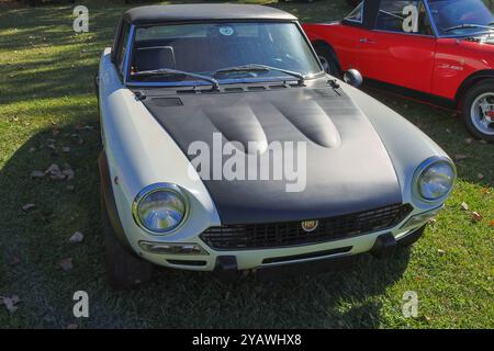 Crociera sportiva fiat 124 bianca classica con cappuccio nero parcheggiato sull'erba Foto Stock