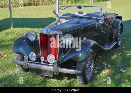 Nero lucido mg td convertibile è parcheggiato su un campo erboso Foto Stock