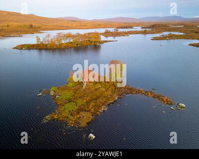 Vista aerea dal drone del paesaggio autunnale della piccola isola e vista del lago Ba sulla Rannoch Moor nelle Highlands scozzesi, Scozia, Regno Unito Foto Stock