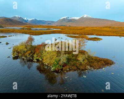 Vista aerea dal drone di una piccola isola ricoperta di alberi nel fogliame autunnale su Lochan na h-Achlaise su Rannoch Moor nelle Highlands scozzesi. Foto Stock