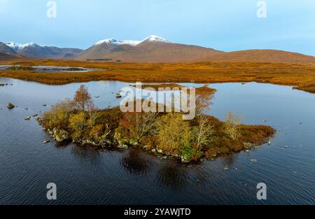 Vista aerea dal drone di una piccola isola ricoperta di alberi nel fogliame autunnale su Lochan na h-Achlaise su Rannoch Moor nelle Highlands scozzesi. Foto Stock