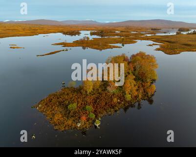 Vista aerea dal drone del paesaggio autunnale della piccola isola e vista del lago Ba sulla Rannoch Moor nelle Highlands scozzesi, Scozia, Regno Unito Foto Stock