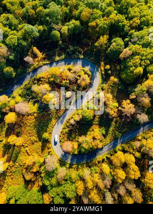 Vista aerea della strada tortuosa sul Duke's Pass circondata da alberi dorati in autunno ad Aberfoyle, Scozia, Regno Unito Foto Stock