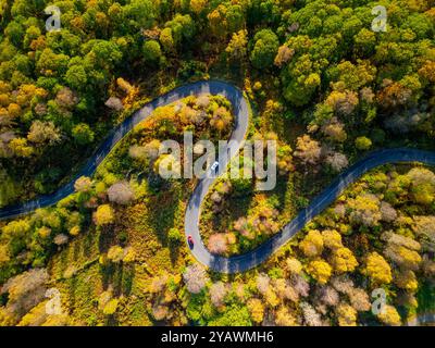 Vista aerea della strada tortuosa sul Duke's Pass circondata da alberi dorati in autunno ad Aberfoyle, Scozia, Regno Unito Foto Stock