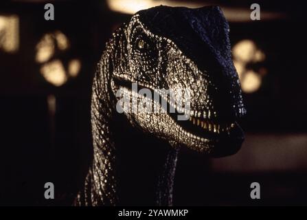 Jurassic Park anno: 1993 USA Direttore: Steven Spielberg Velociraptor limitato all'uso editoriale. Per ulteriori informazioni sulle restrizioni, vedere didascalia. È vietato riprodurre la fotografia al di fuori del contesto della promozione del film. Deve essere accreditato alla Film Company e/o al fotografo assegnato o autorizzato da/autorizzato sul set dalla Film Company. Limitato all'uso editoriale. Photo12 non concede diritti di pubblicità alle persone rappresentate. Credito: Photo12/7e Art/Universal Pictures Foto Stock