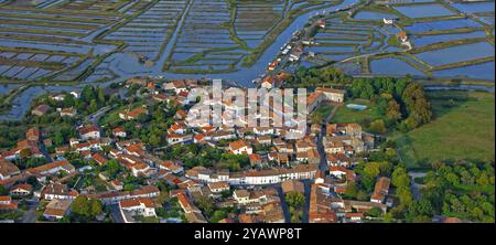 Dipartimento Charente-Maritime, Mornac-sur-Seudre, etichettato come i villaggi più belli della città francese, vista aerea Foto Stock