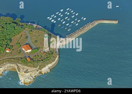 Francia, dipartimento marittimo della Charente, porto di Saint-Georges-de-Didonne (aereo) Foto Stock